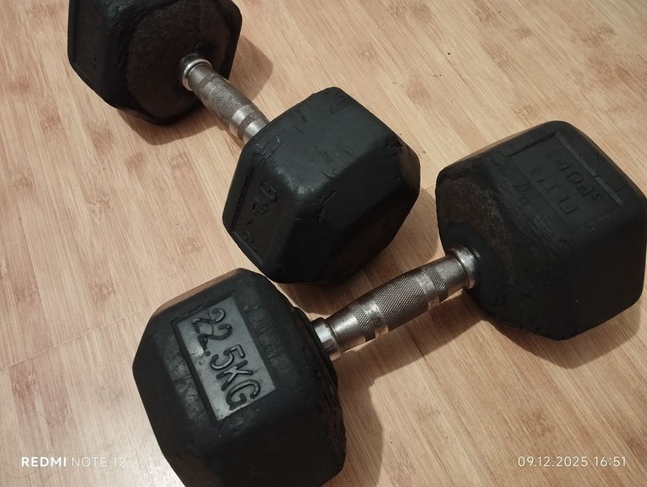 Set două gantere de 22,5 kg