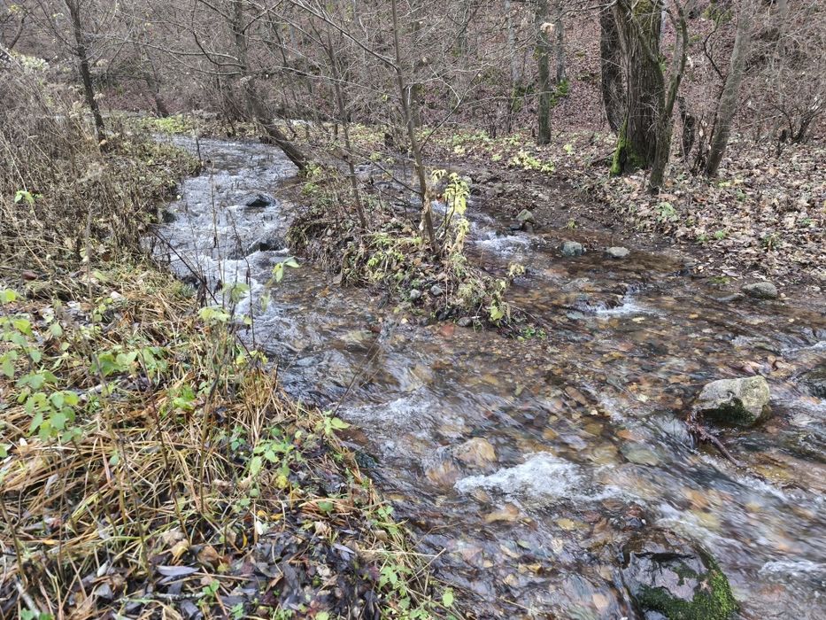 След извора на Струма над Боснек - продавам имот 2,5 дка