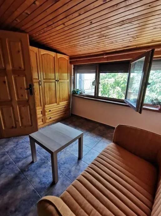 Двустаен апартамент, под наем, Център