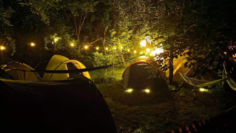 Teren cu livadă și clădiri  – Perfect pentru afaceri turistice