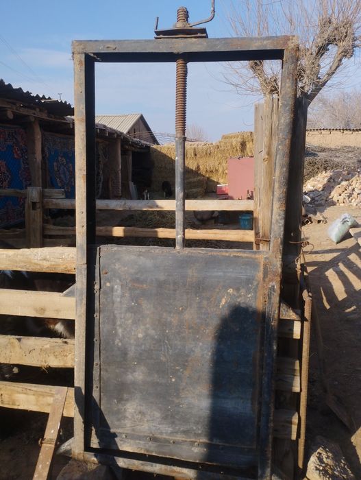 Сув дарак сотилади 1000 лик