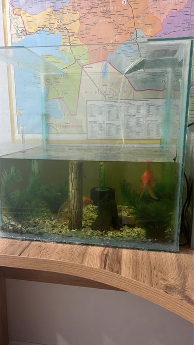 АКВАРИУМ САТАМ‼️ продаю аквариум
