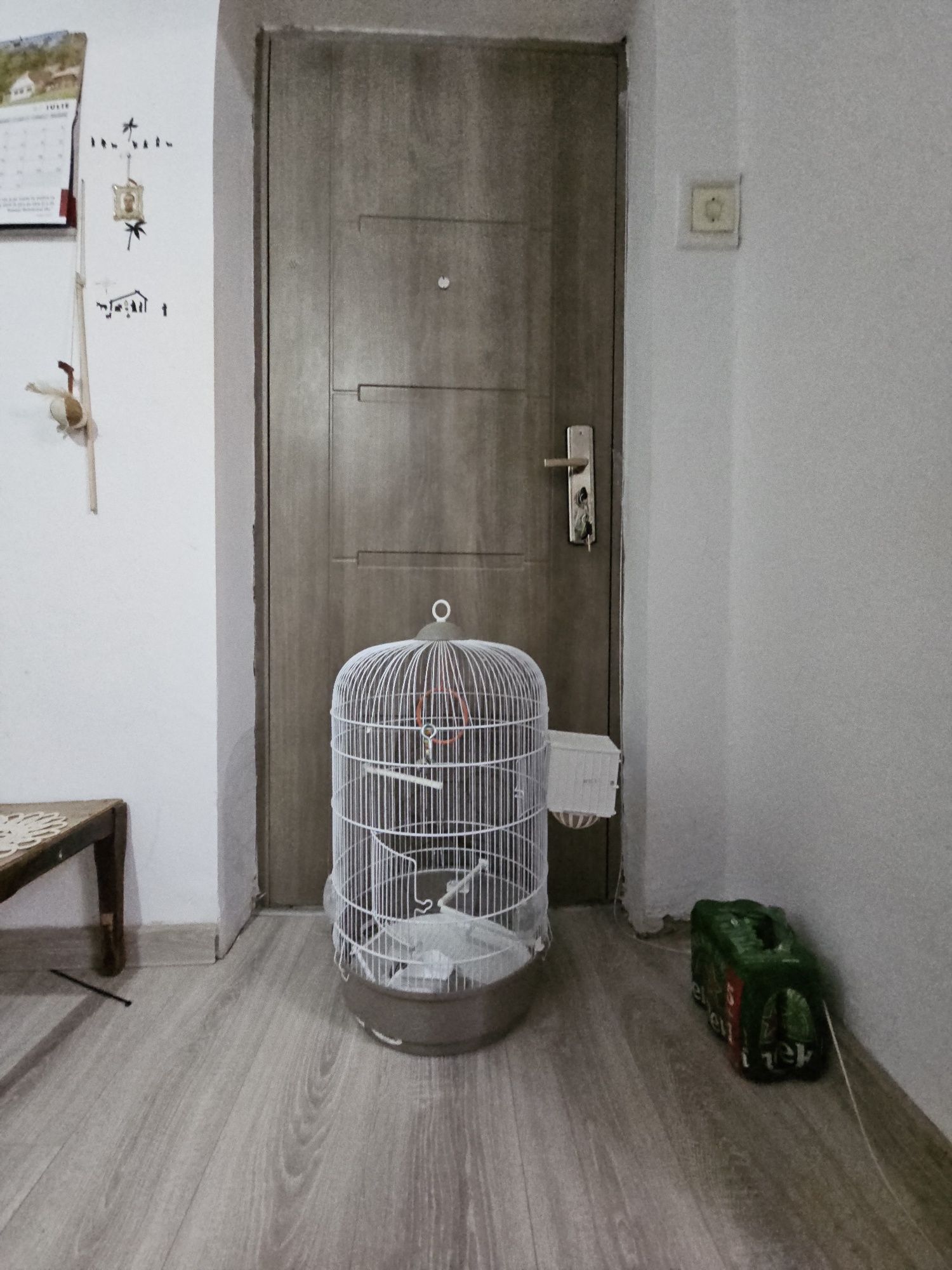 Vand COLIVIE, incapatoare mare pt pasari