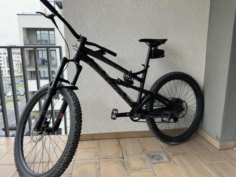 Vand Dartmoor blackbird 2020