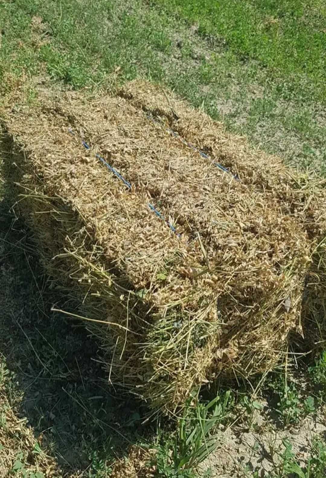 De vânzare baloți de lucernă amestecată cu fân