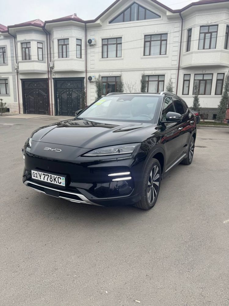 Byd 2024 Champion  605km
