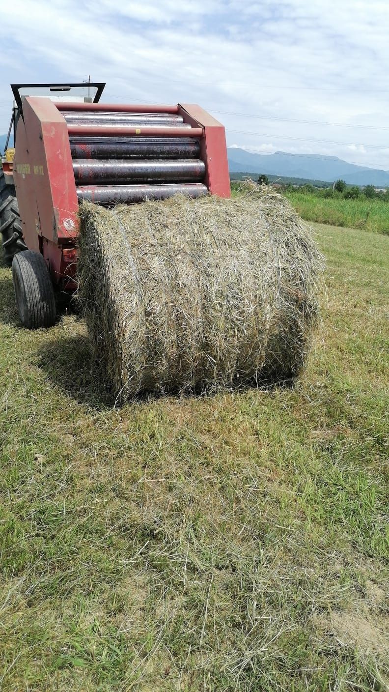 Vand sau dau la schimb cu utilaje agricole  și lucerna prima coasa 202