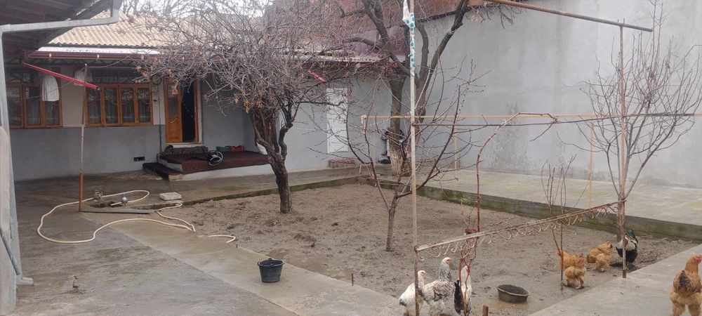 Ховли сотилмокда.