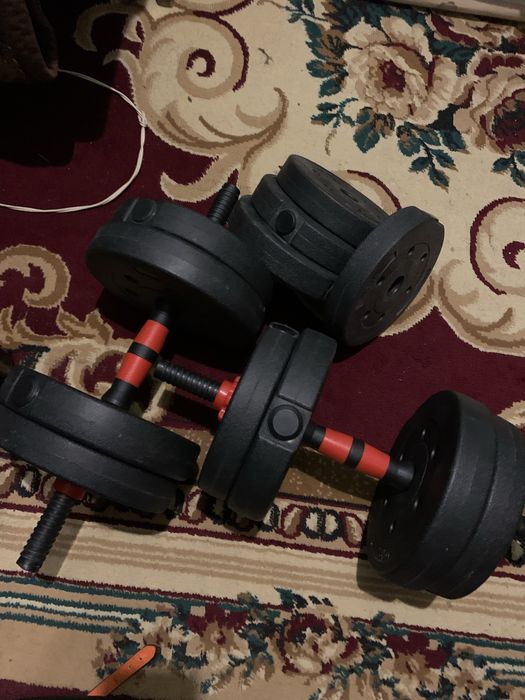 гантел тренировка истеймын дейтындер