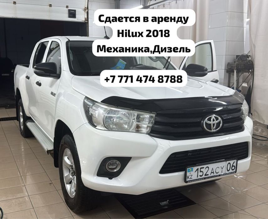 Сдается в аренду