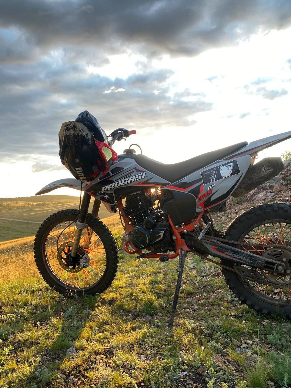 Progasi palma pr300