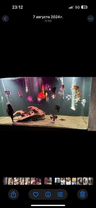 Аквариум300л фильтр все есть готовый аквариум)