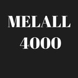 Metallom Metallollom temir