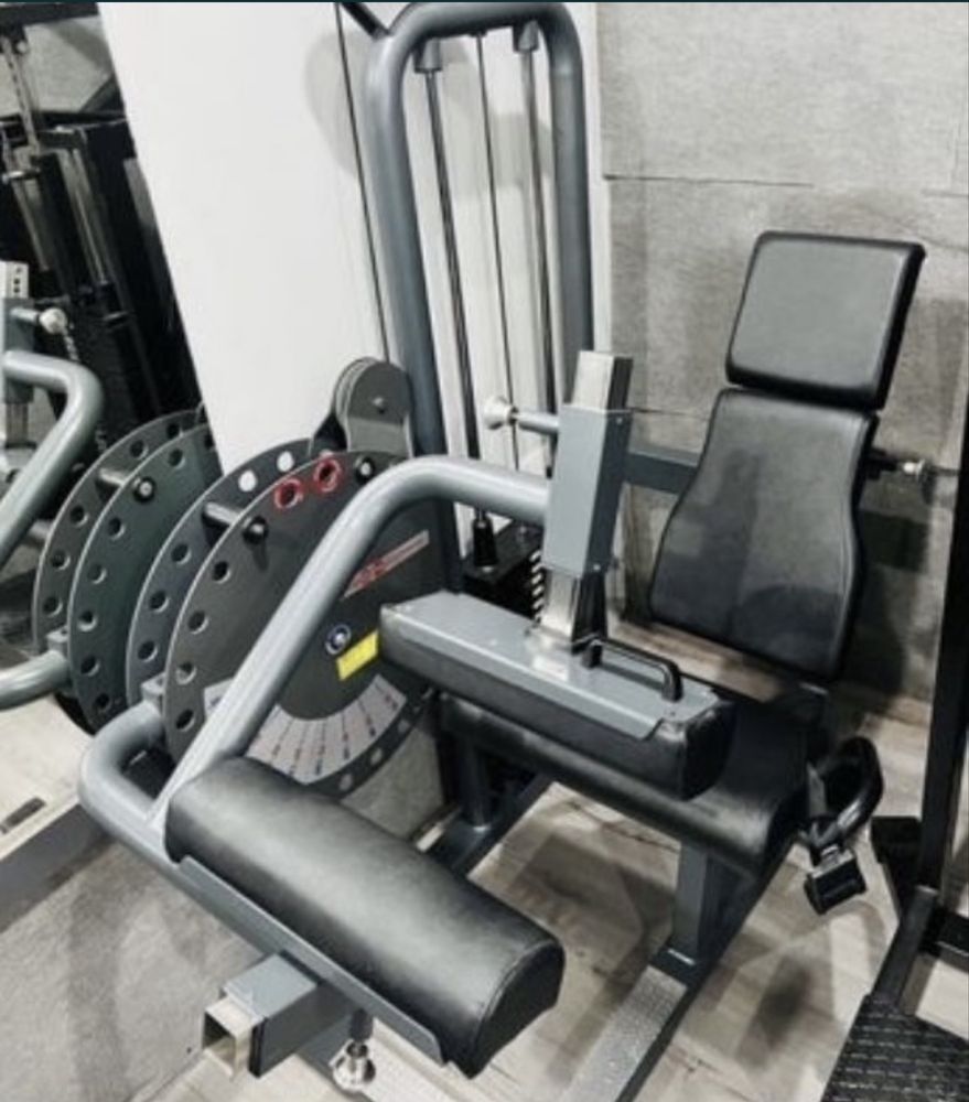 Задно бедро от седеж Тека / seated leg flexion Teca