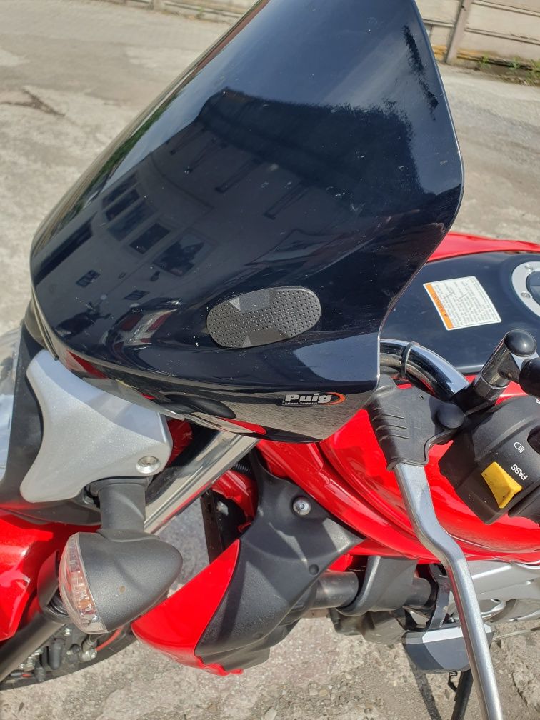 Suzuki sfv650 gladius