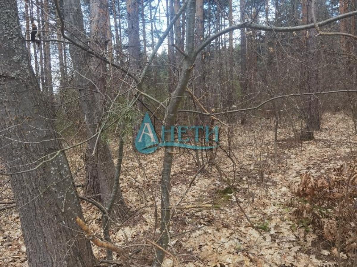Продава се Парцел в с. Панчарево, Област София-град - 2253 кв.м за 14 €/кв.м - Снимка #4