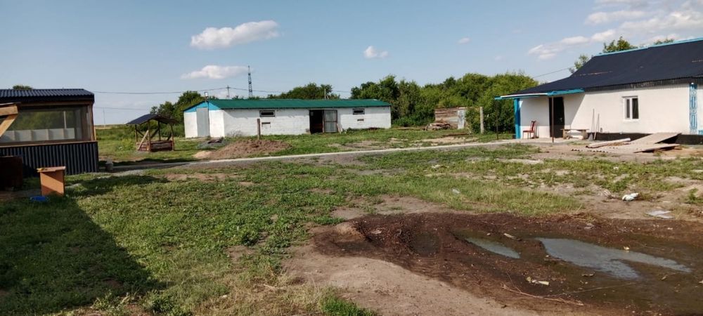Продаю дом с базой под скот