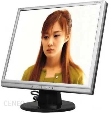 monitor nec 190V 19 inci