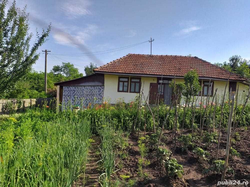 Casa cu 1800 metri 18 km de Vaslui + 4,5 Ha arabil si pasune