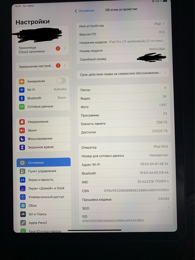 iPad Pro 11-inch (2nd Generation) Wi-Fi + Cellular