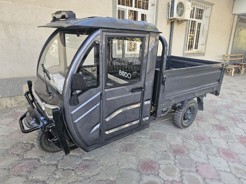 Предлагаю муравей нови