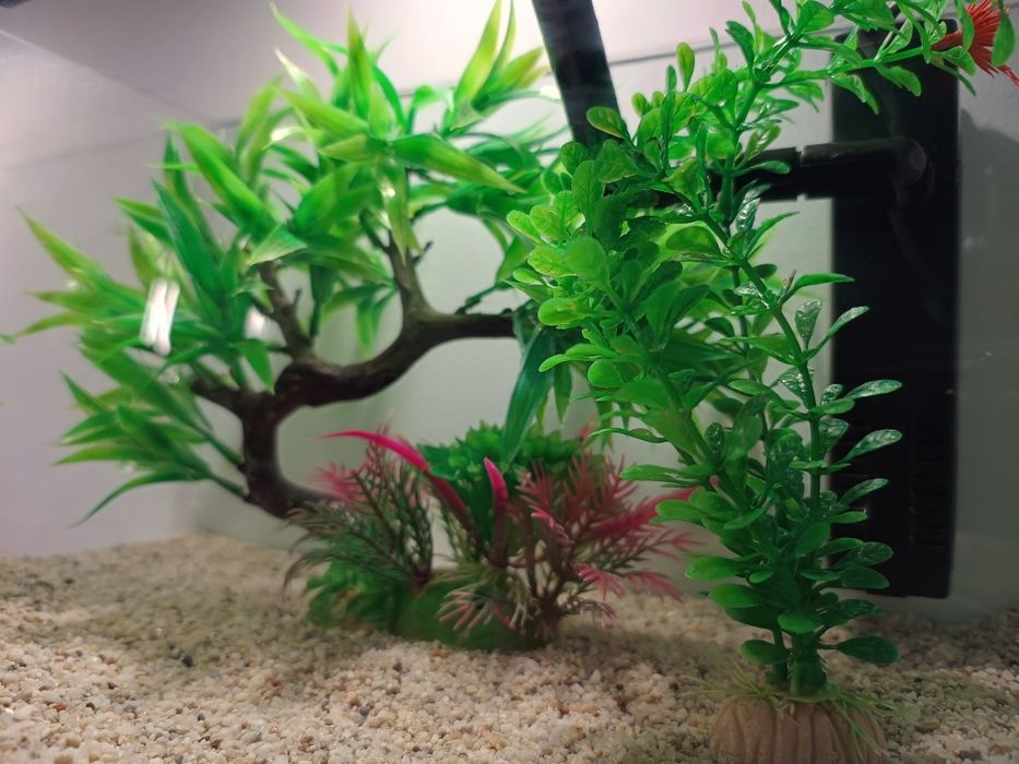 Acvariu sticla curbat complet