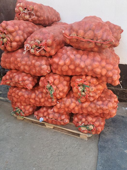 Продам корофель Марков