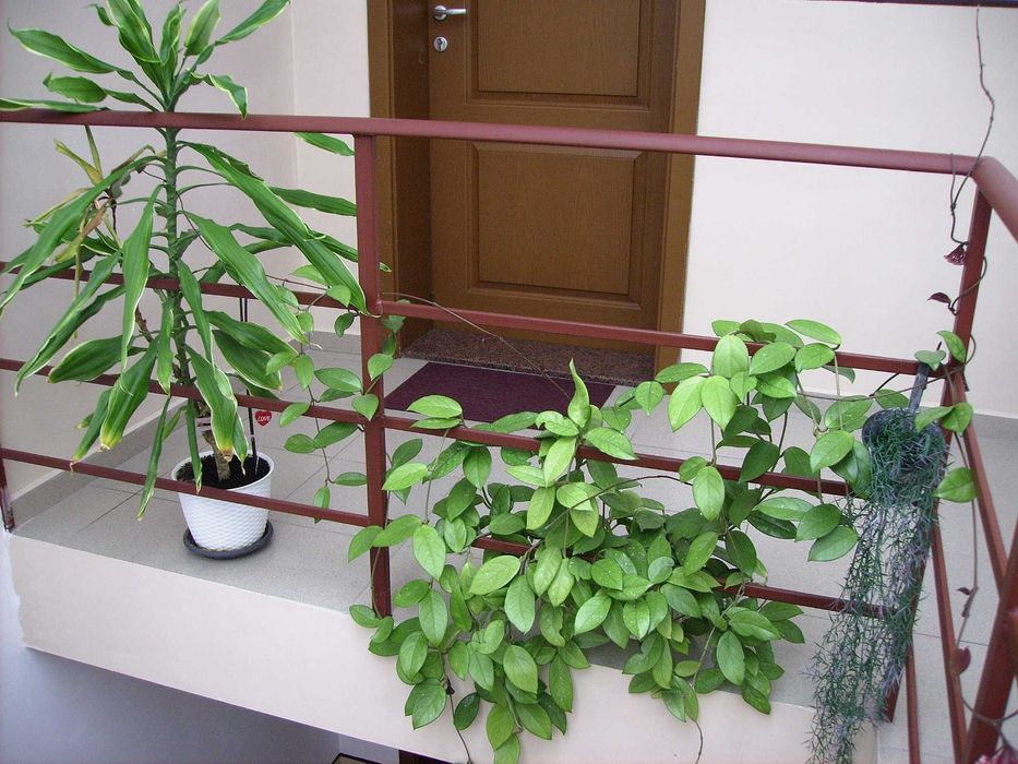 фотоапарат Pentax Optio E10