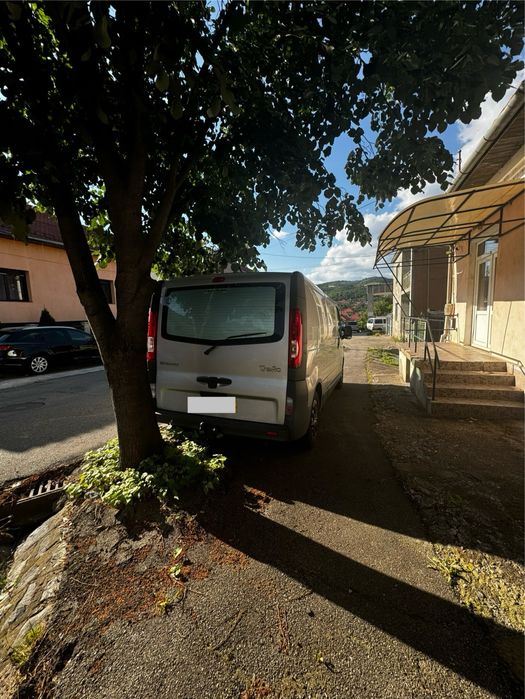 Duba Renault Trafic LL29 DCI 150 - 2009 - 58,000km