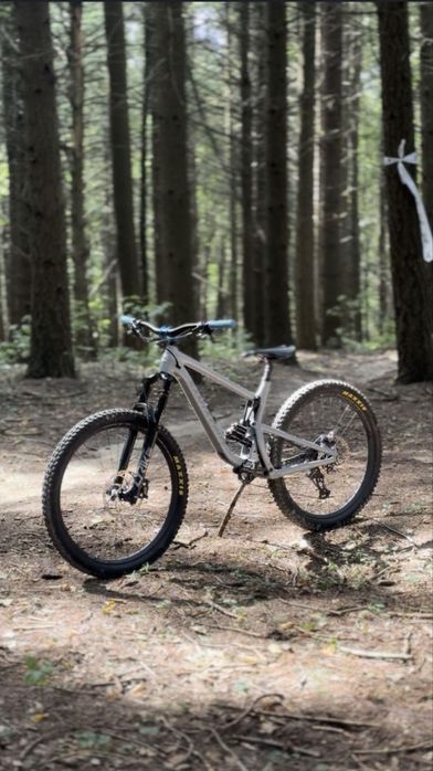 Santa cruz bronson