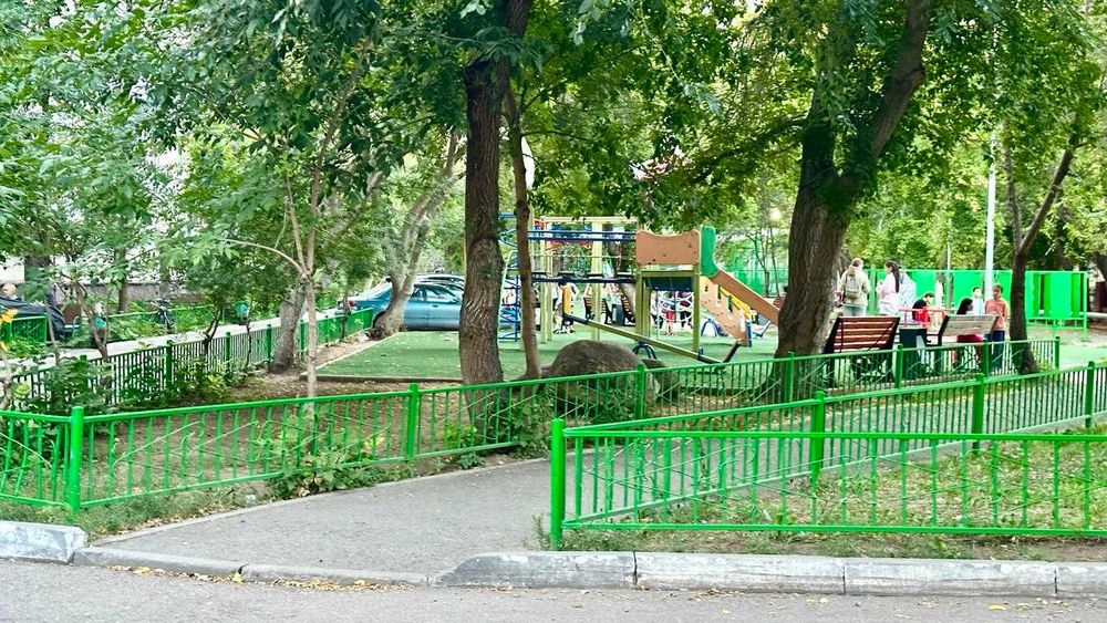 Продаём полноценную 1 комнатную квартиру