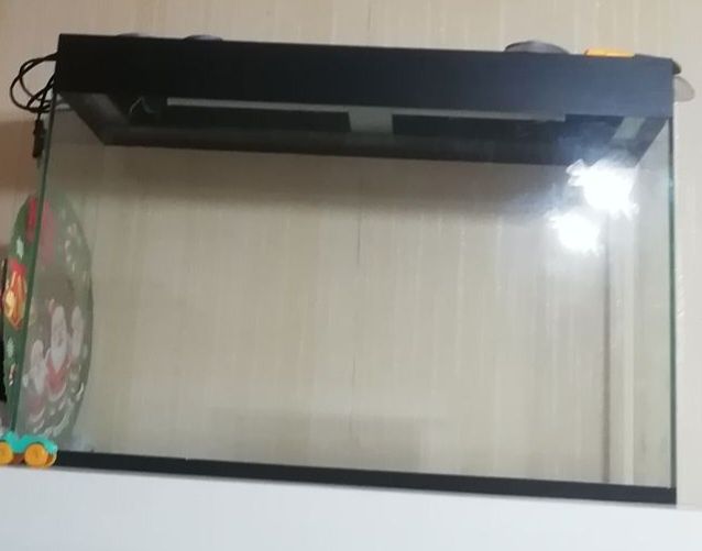Большой аквариум