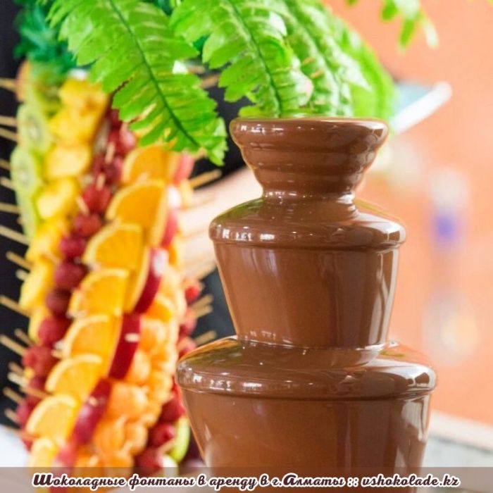 Шоколадный фонтан + Фруктовая пальма