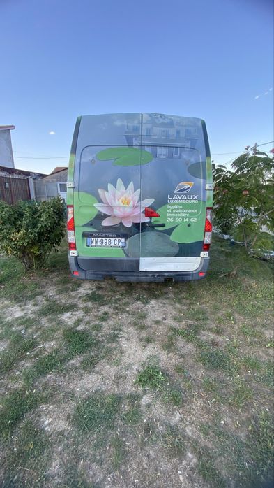 Duba Renault de vanzare