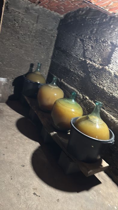 Must proaspăt, fără adaos de zahăr sau conservanți.