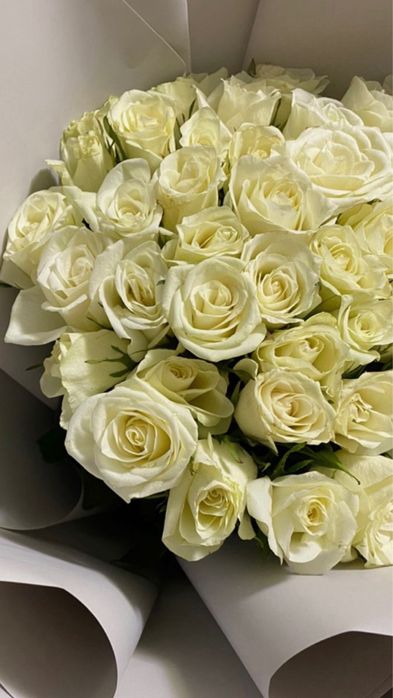 белые розы 35 штук