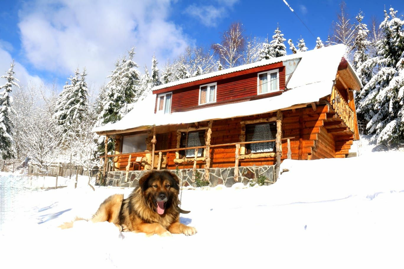 Casa Voichita Cavnic/Cazare/Cabana/Pensiune