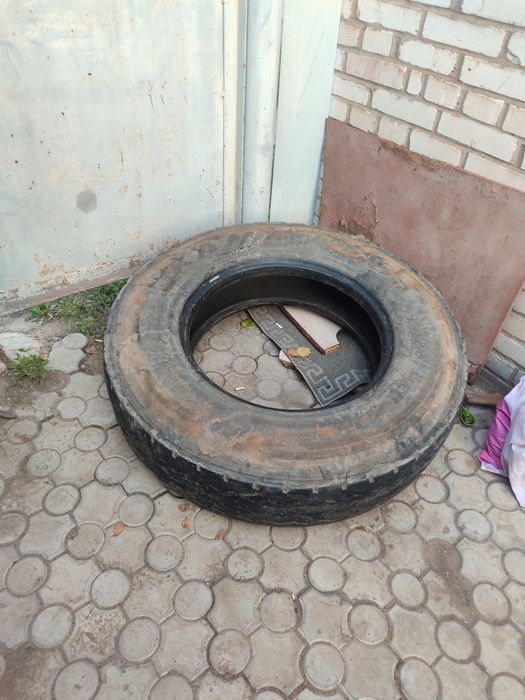 Продам шину на шахман