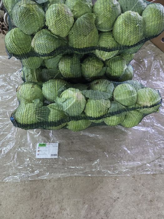 Varza Gintama si Beverly Hills 1 lei