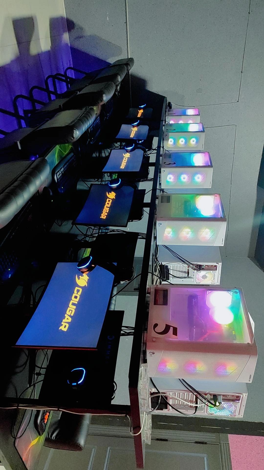 Game club cougar