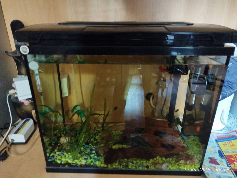 Аквариумът е 60л