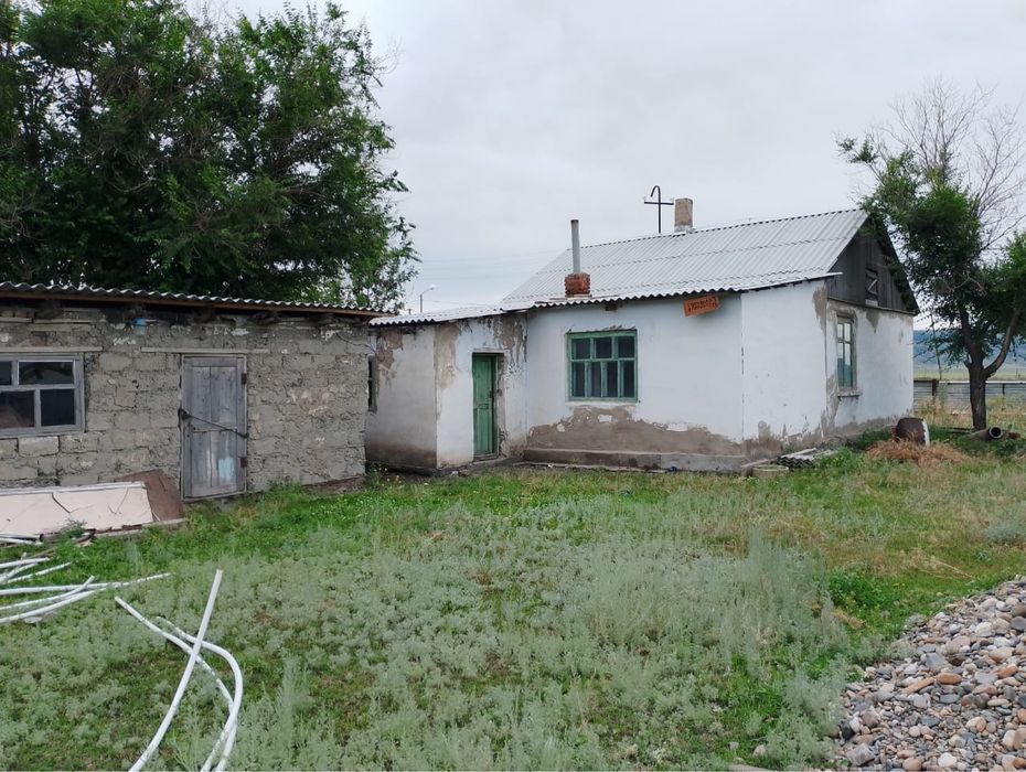Дом в дереве Алмасай