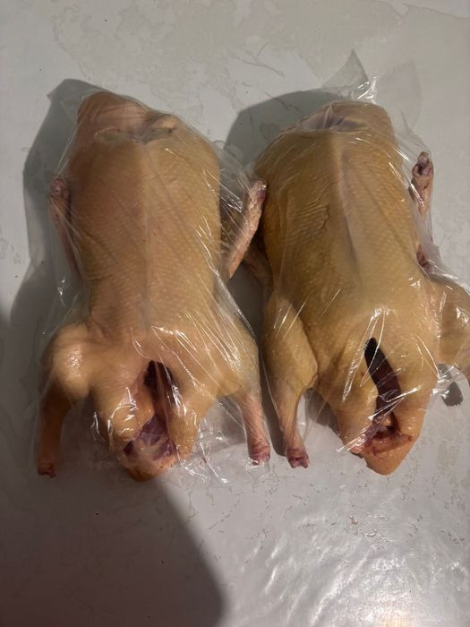 Продам утиное мясо