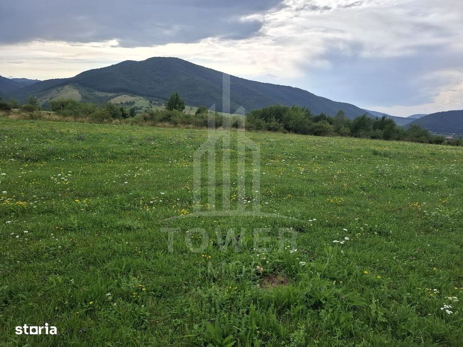 Teren la Orlat cu vedere spre munti