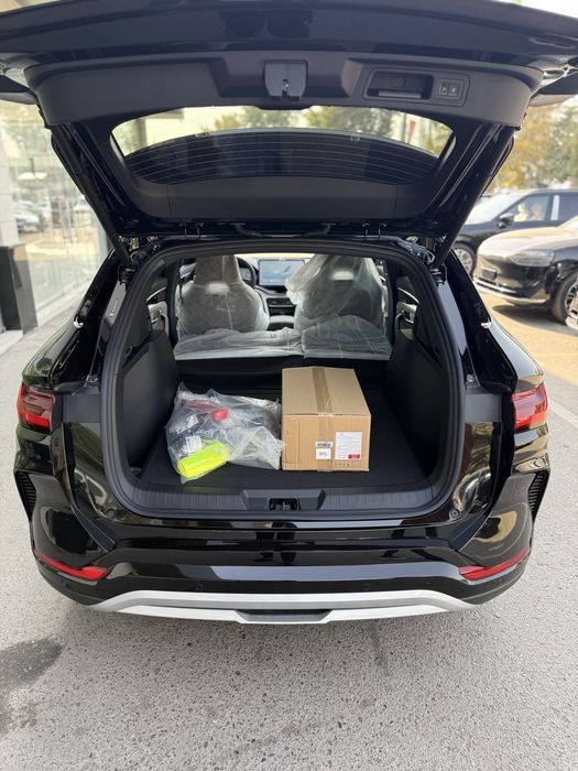 Byd champion smart