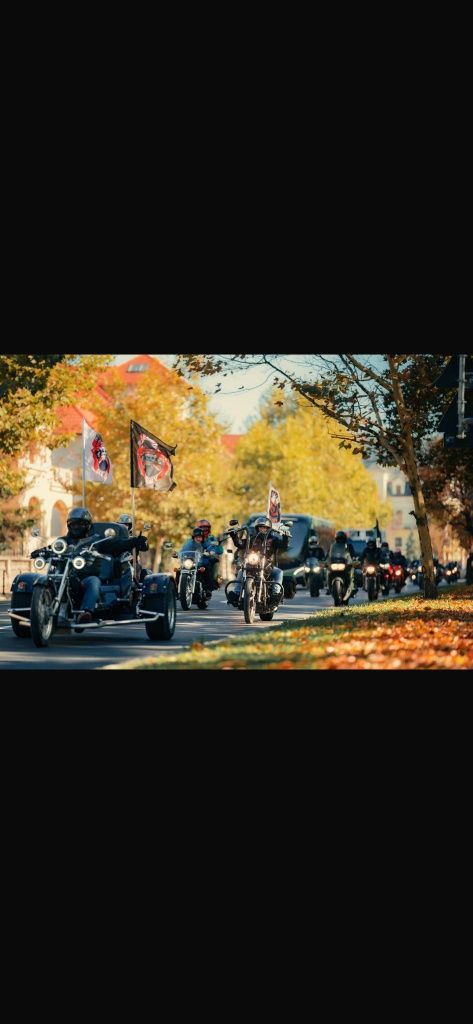 Wk trike L5E, categoria B , variante schimb