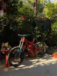 Specialized Demo 8 Downhill