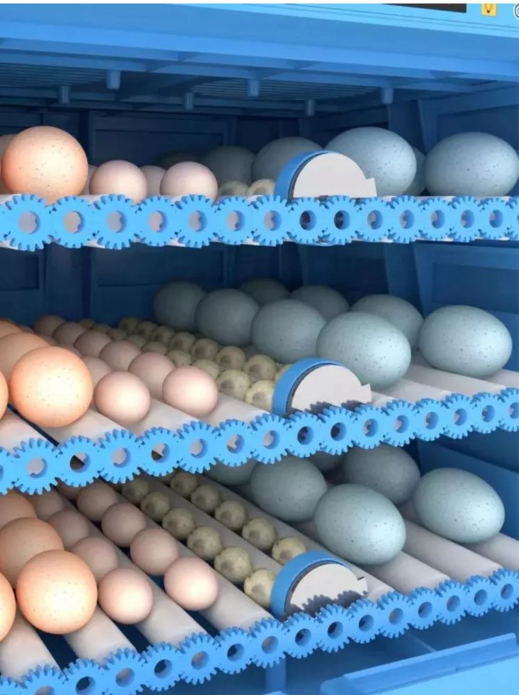 Инкубатор на 256 яиц
