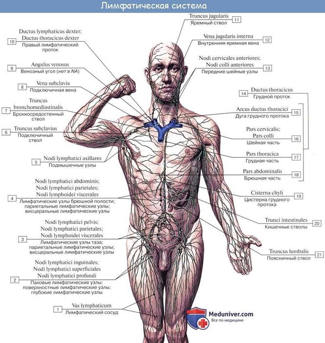 Курс „фитнес инструктор“