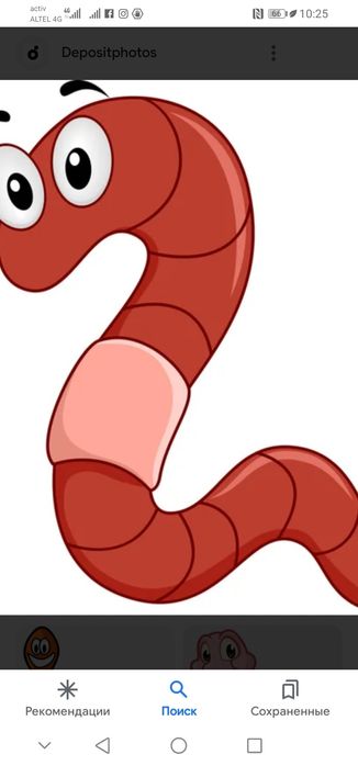 Шұбалшын, балық аулауға және т. б